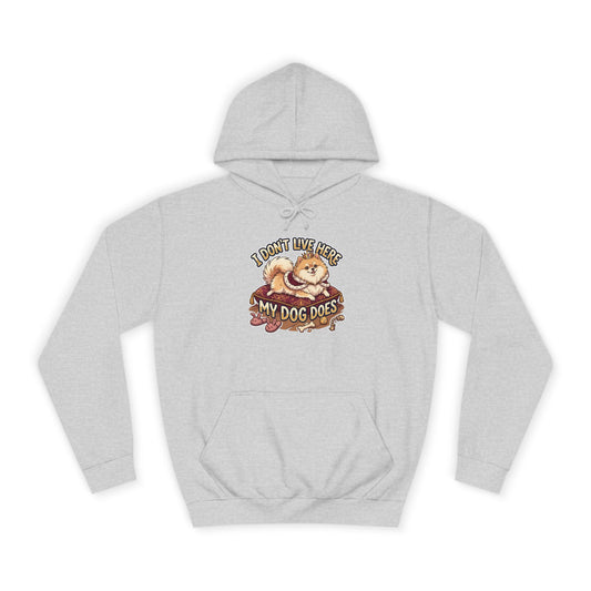 "I Don’t Live Here, My Dog Does" Cute Dog Lover Pullover