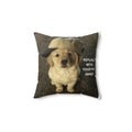 Custom Pet Photo Pillow "Love Lives Here and It Has Paws" Square Decorative Pillow